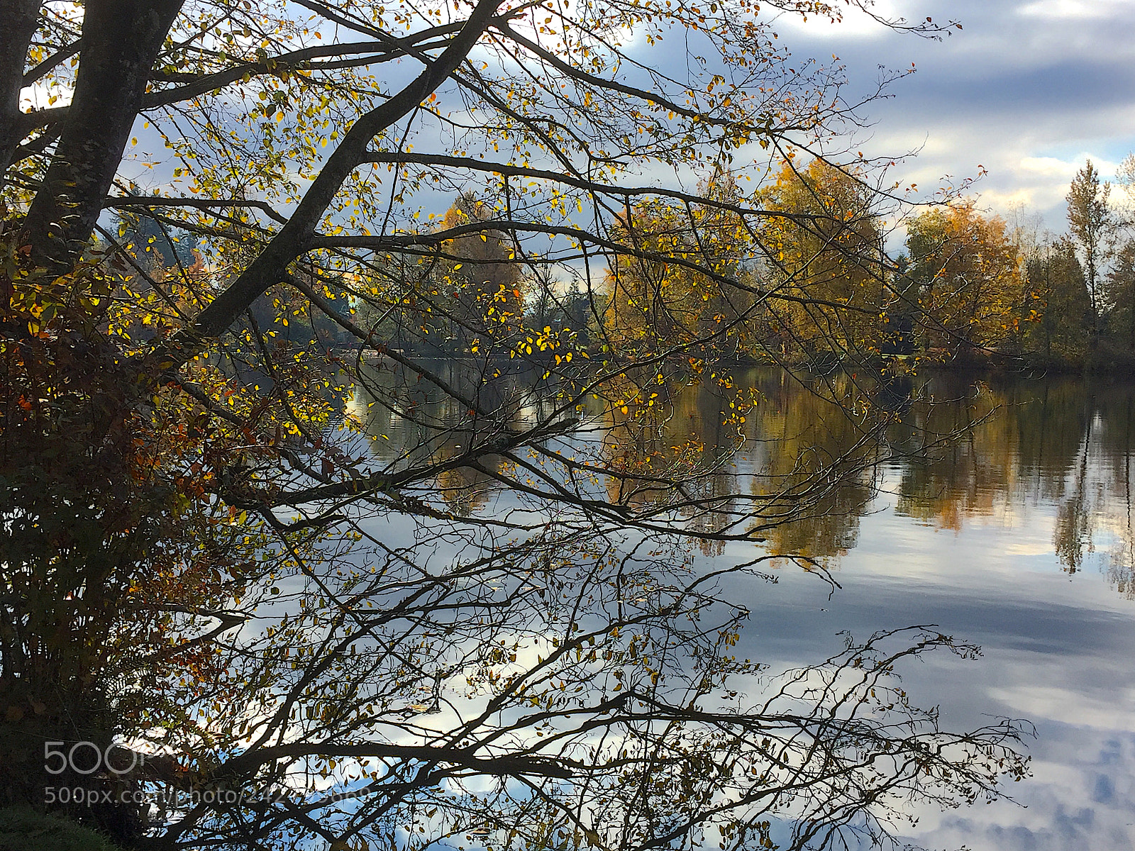 Apple iPhone 6 sample photo. Refle photography