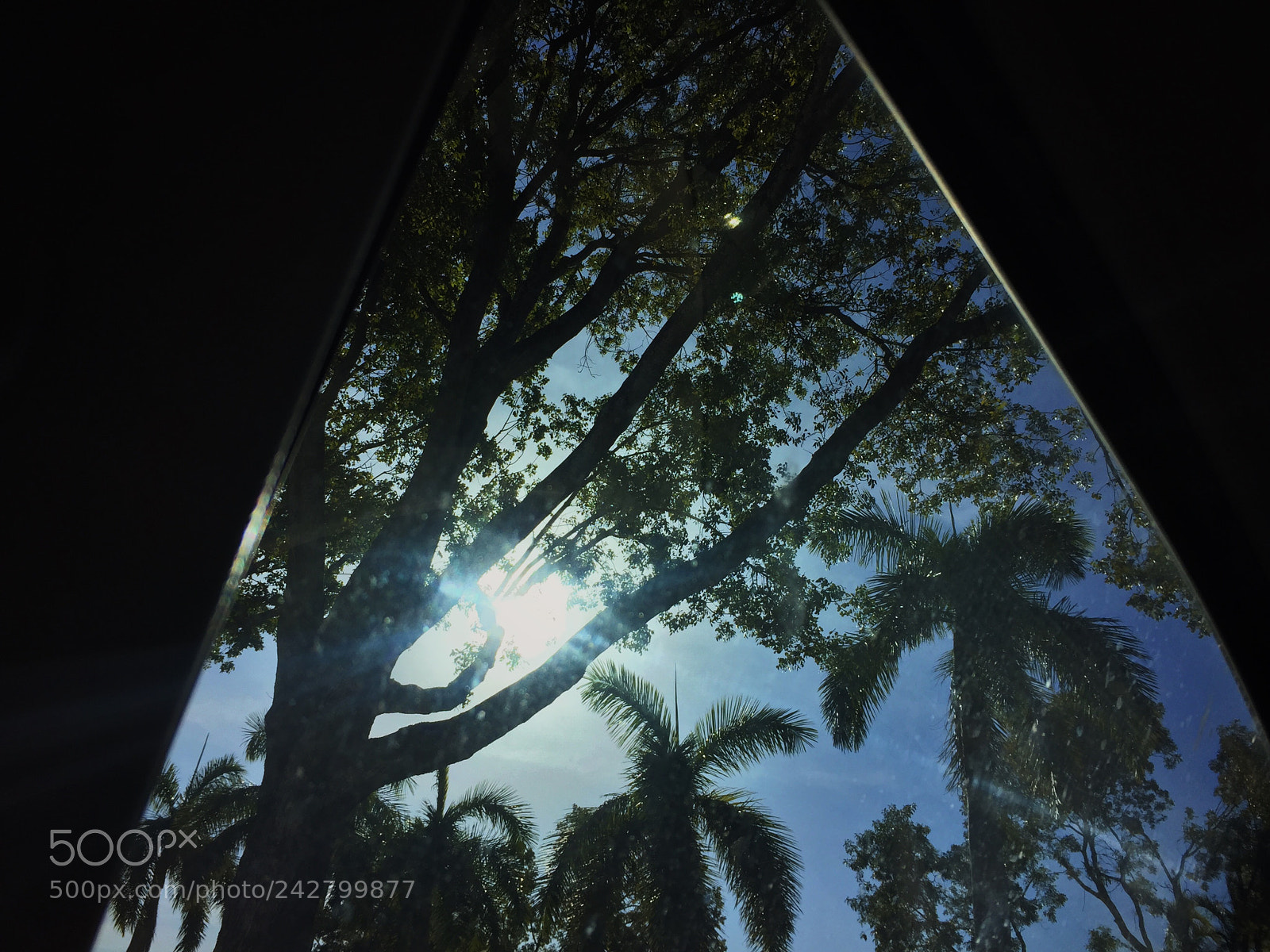 Apple iPhone 6 Plus sample photo. Morning sensation. photography