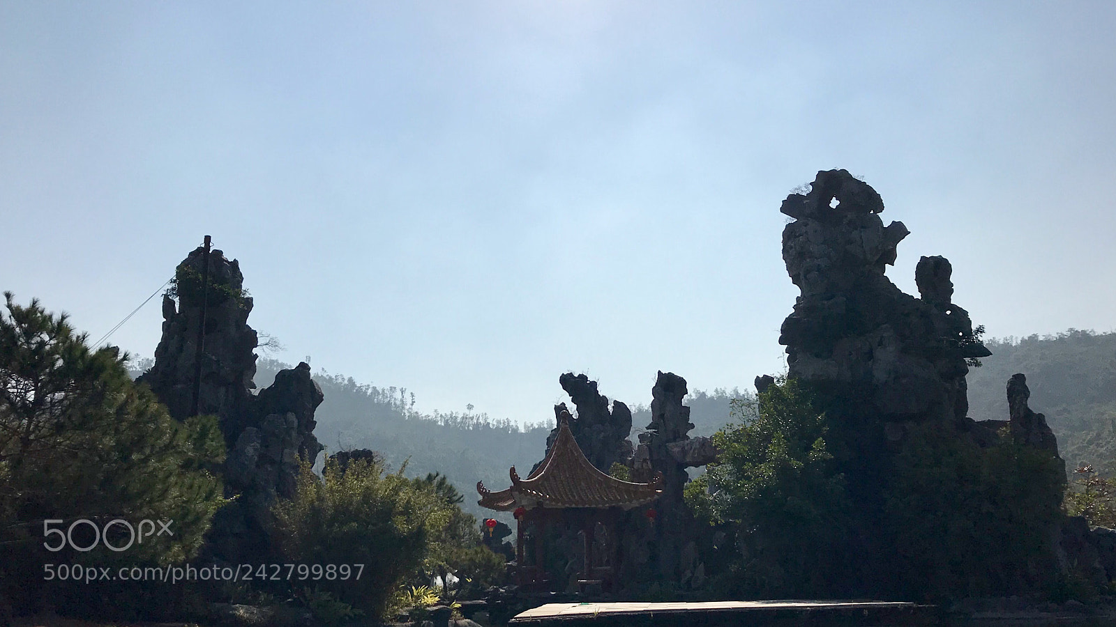 Apple iPhone 7 sample photo. Big miniascape 大盆景 photography