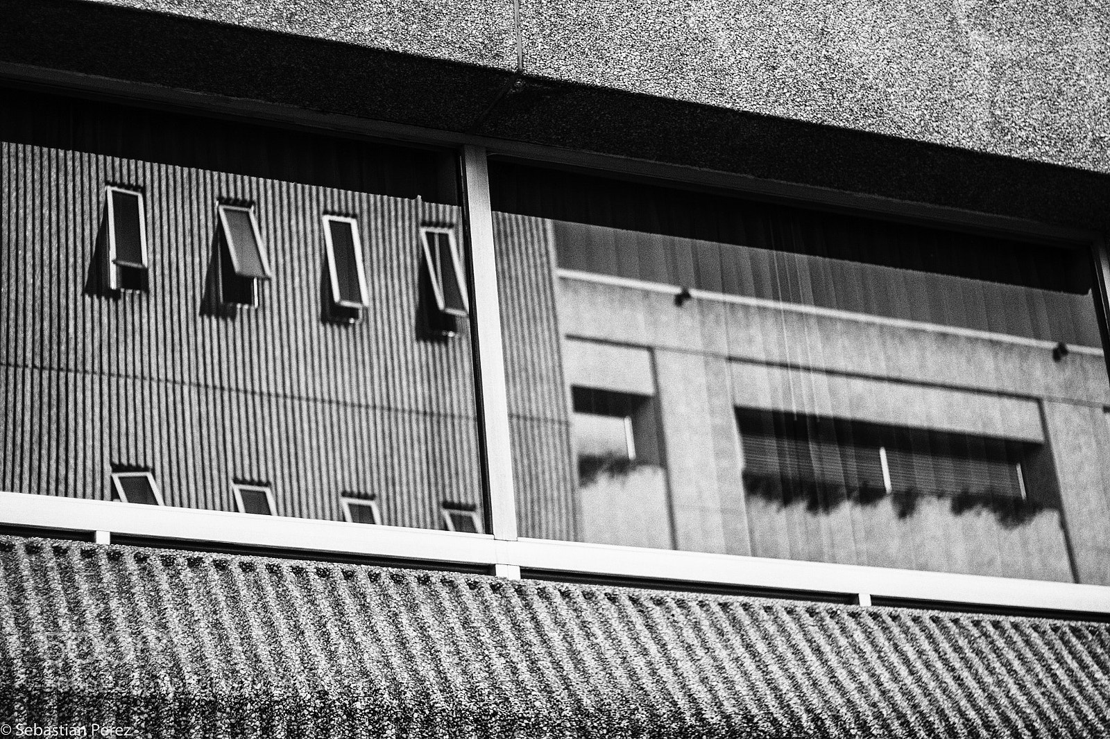 Canon EOS 50D sample photo. Here or there? photography