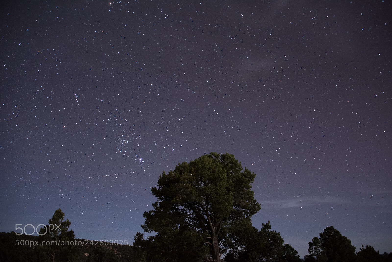 Nikon D810 sample photo. The northstar photography