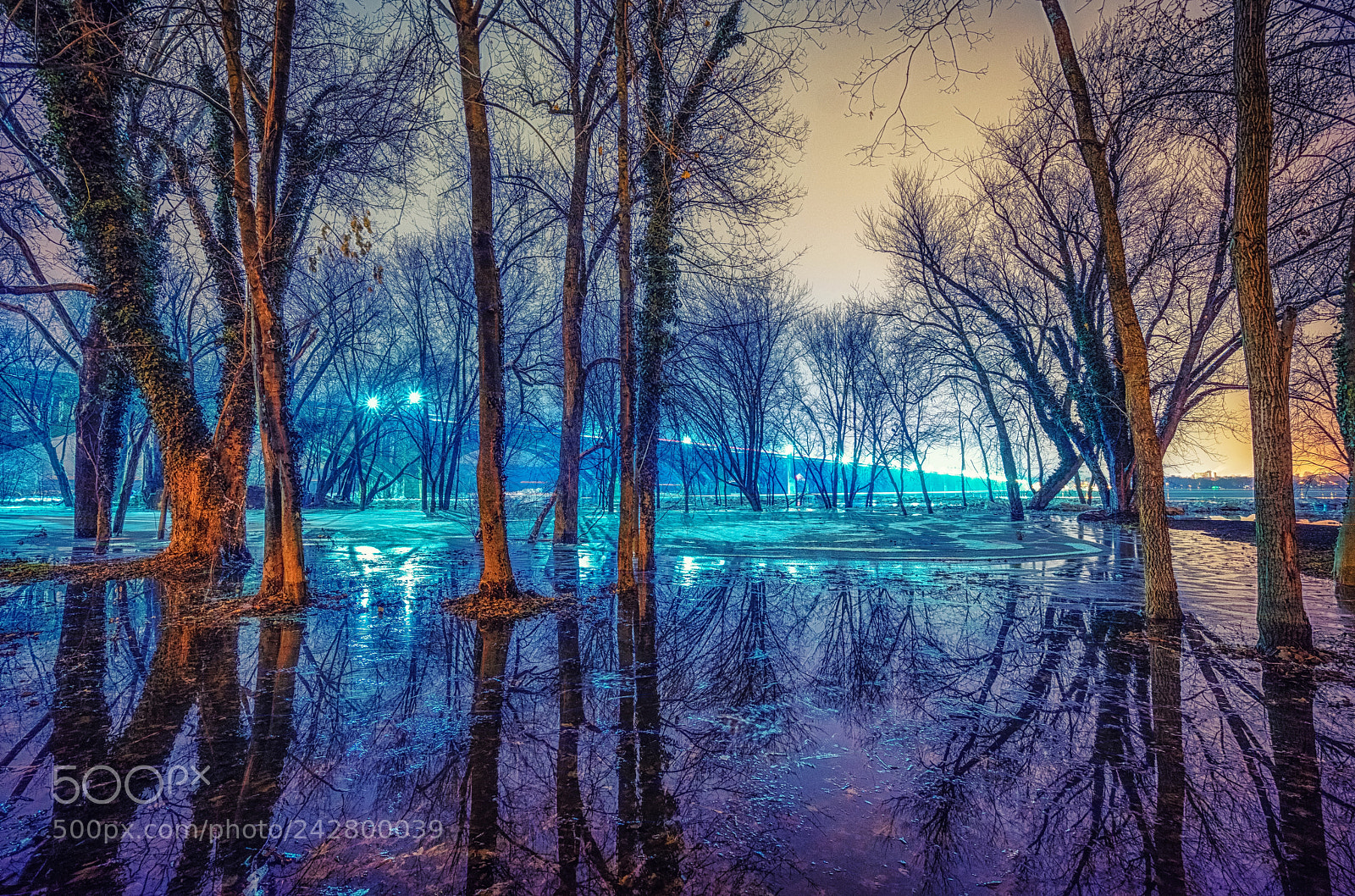 Sony a7R sample photo. "glory of the ice" photography