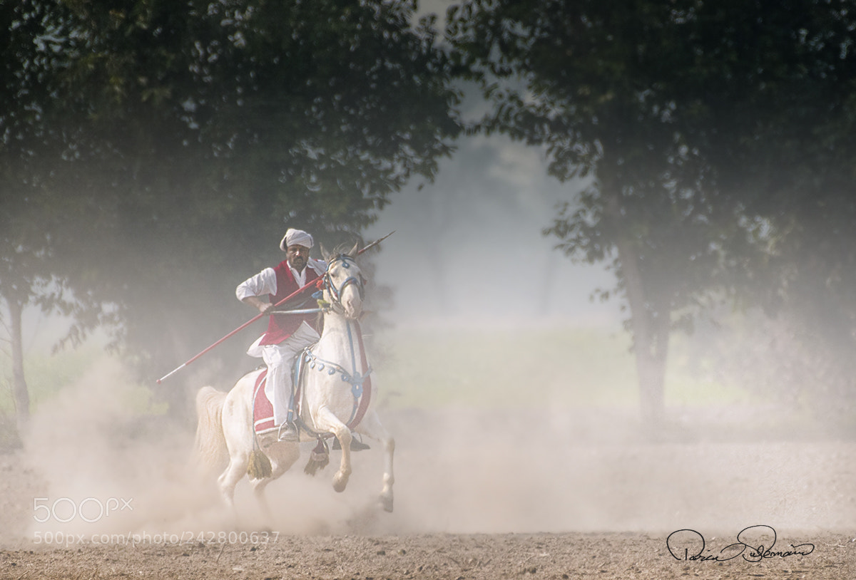 Nikon D500 sample photo. Dust rider photography