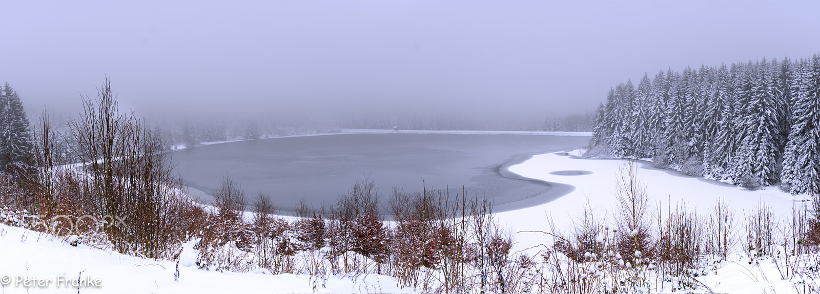 Sony a6300 sample photo. Harz grosser kellerhals teich photography