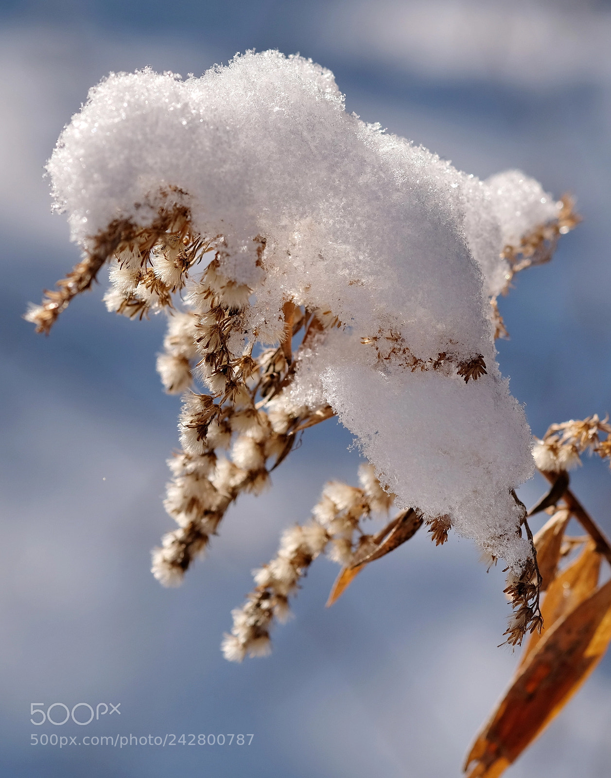Fujifilm X-E3 sample photo. Snow cap photography