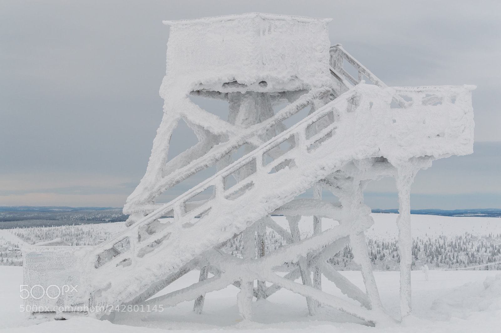 Nikon D3200 sample photo. Frozen photography