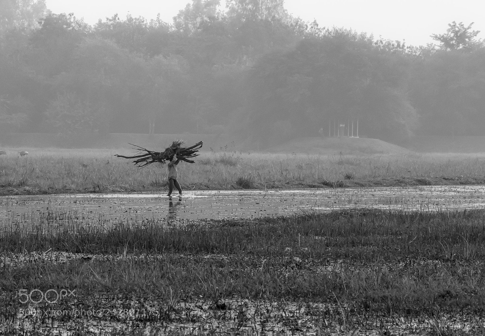 Canon EOS 60D sample photo. Misty evening photography
