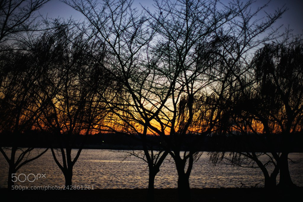 Sony Alpha DSLR-A900 sample photo. Potomac river sunset. photography
