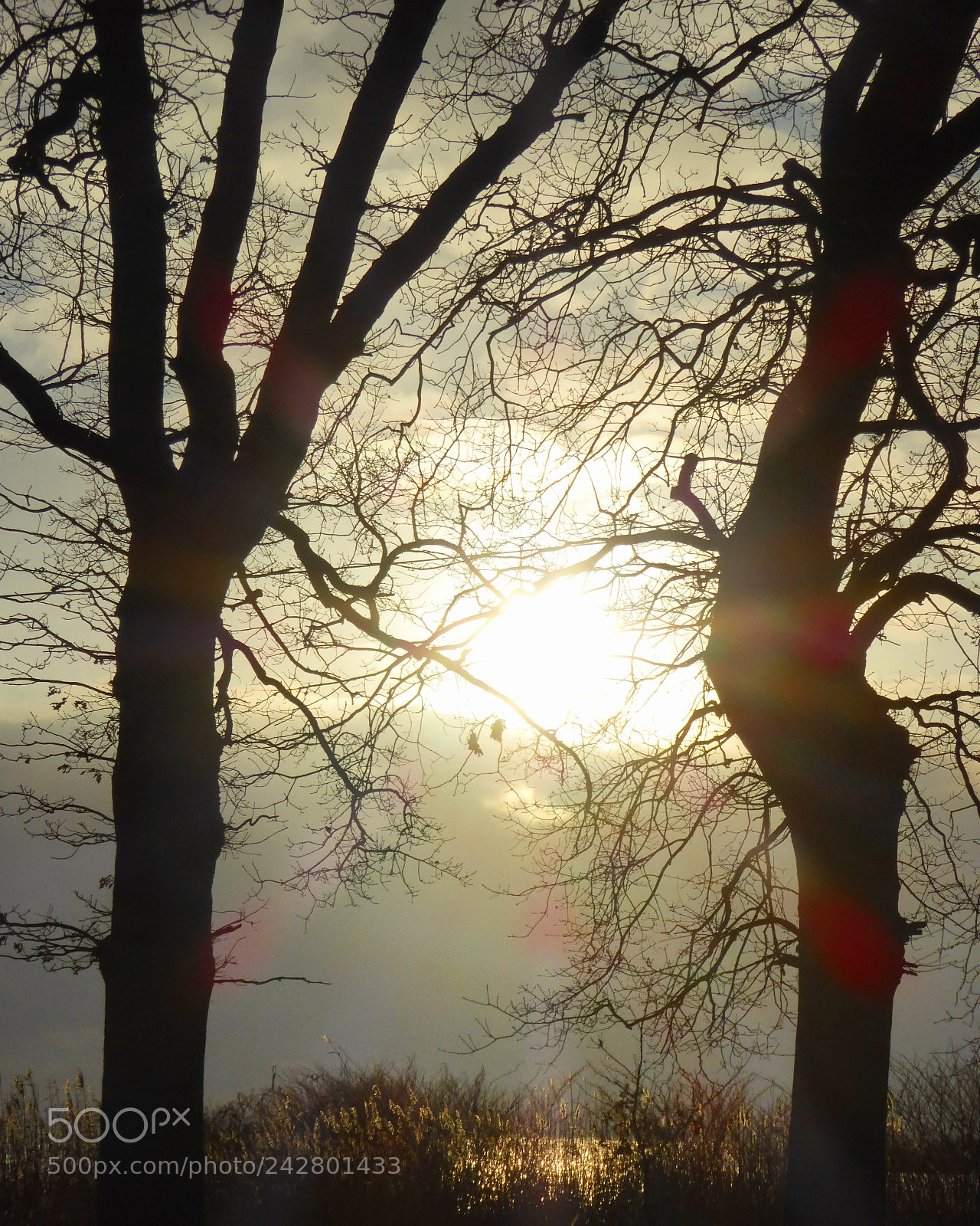 Panasonic DMC-TZ61 sample photo. One photography