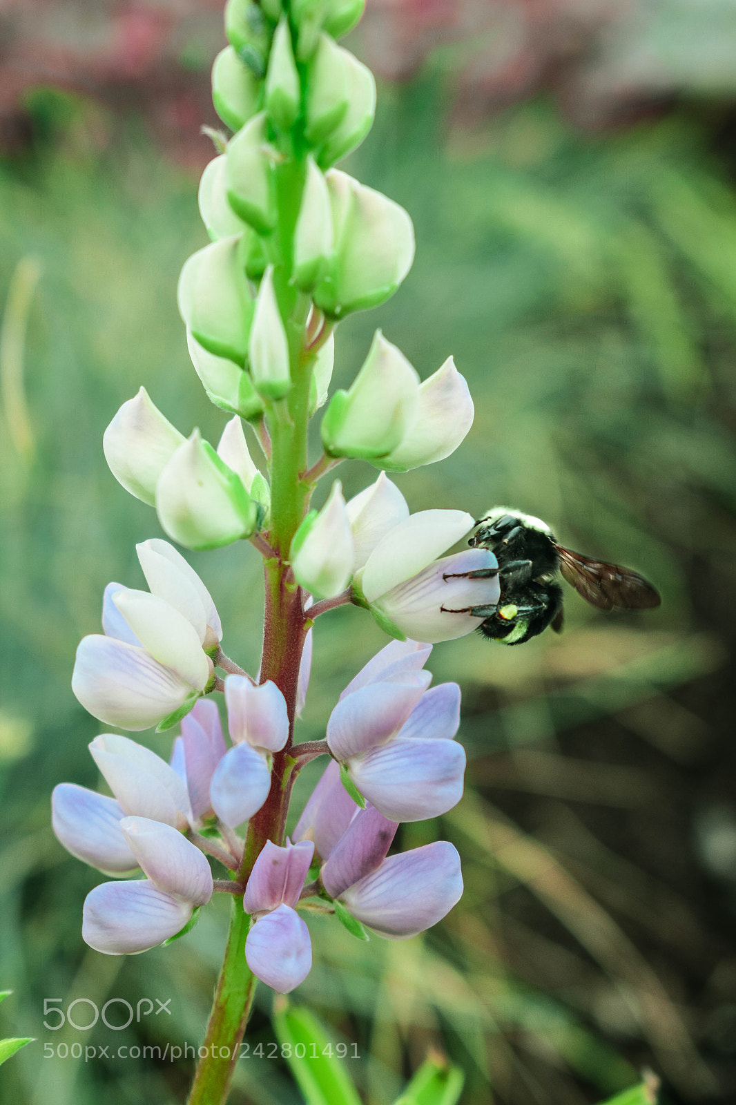 Nikon D3400 sample photo. Dsc photography