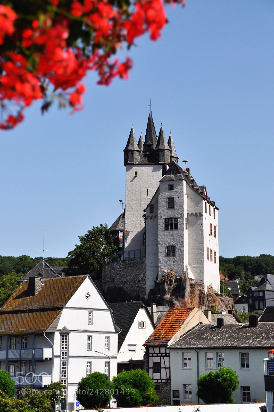 Nikon D90 sample photo. Castle of diez in photography