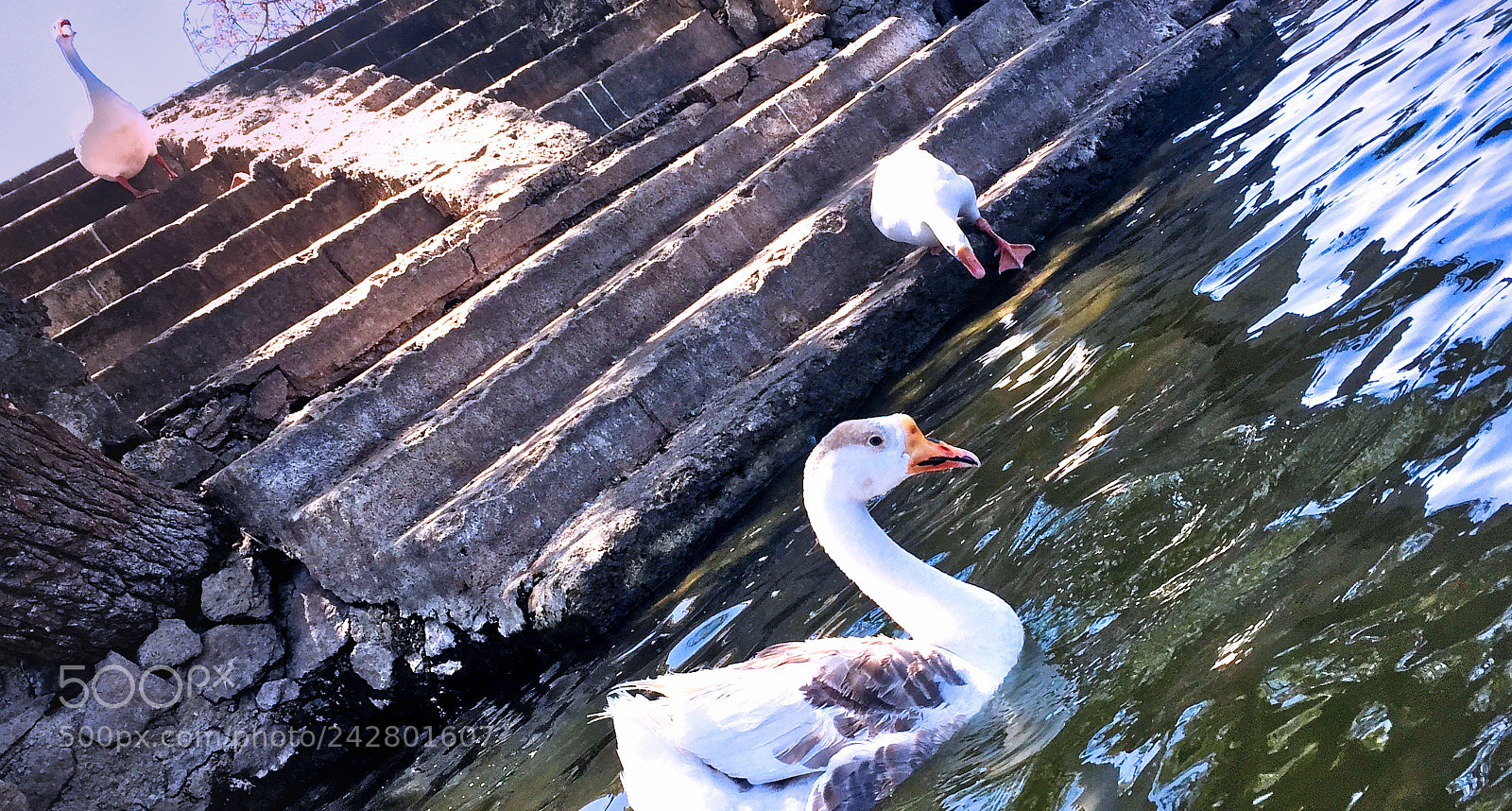 Apple iPhone 6 sample photo. Untitled photography