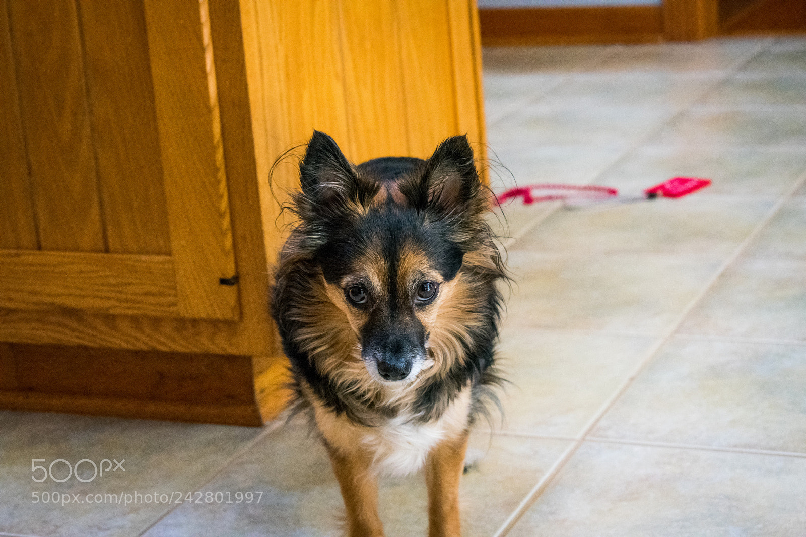 Nikon D3400 sample photo. Dsc photography