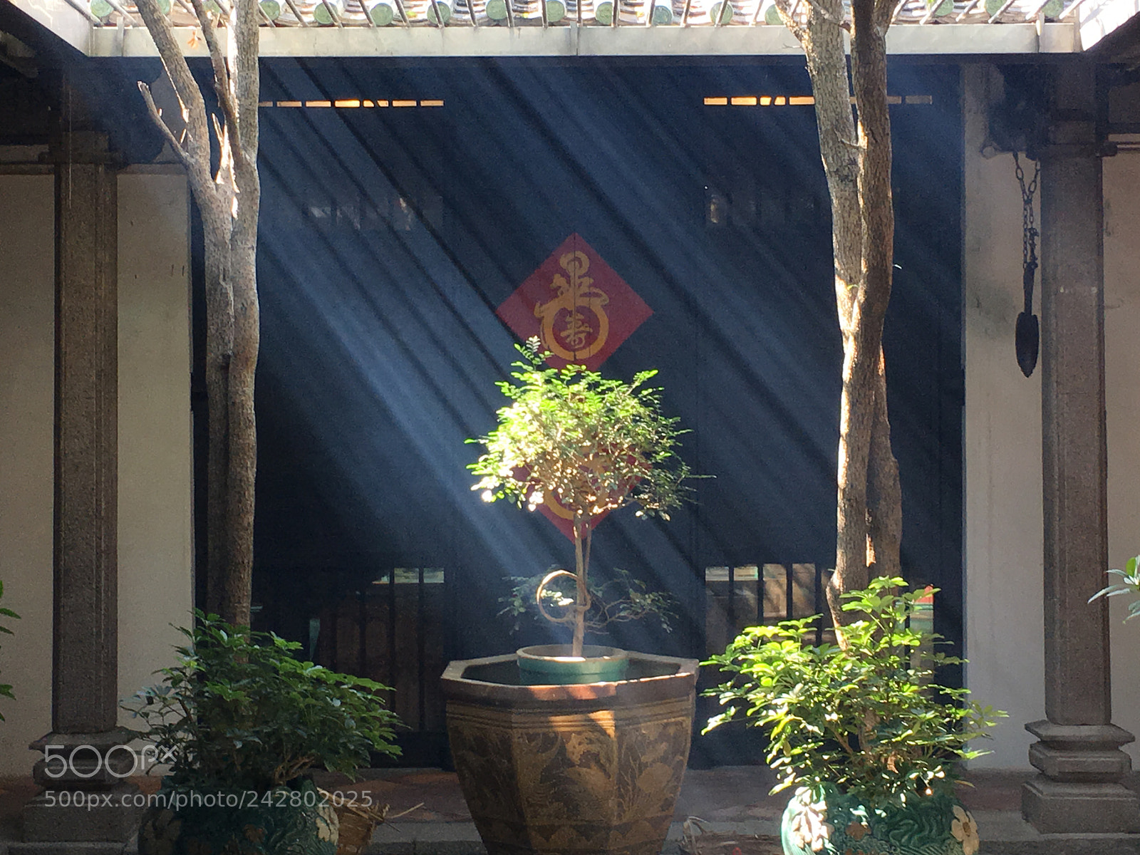 Apple iPhone 6s Plus sample photo. 普濟禪院-如意軒 photography