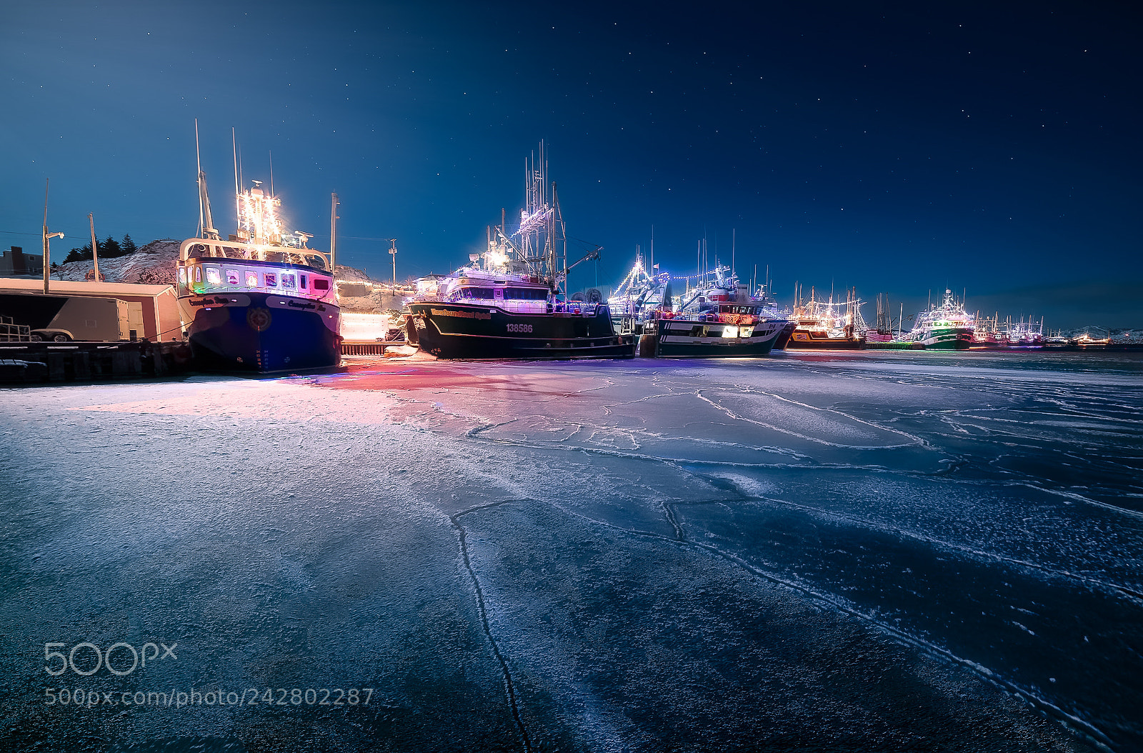 Nikon D810 sample photo. Christmas boats port de photography