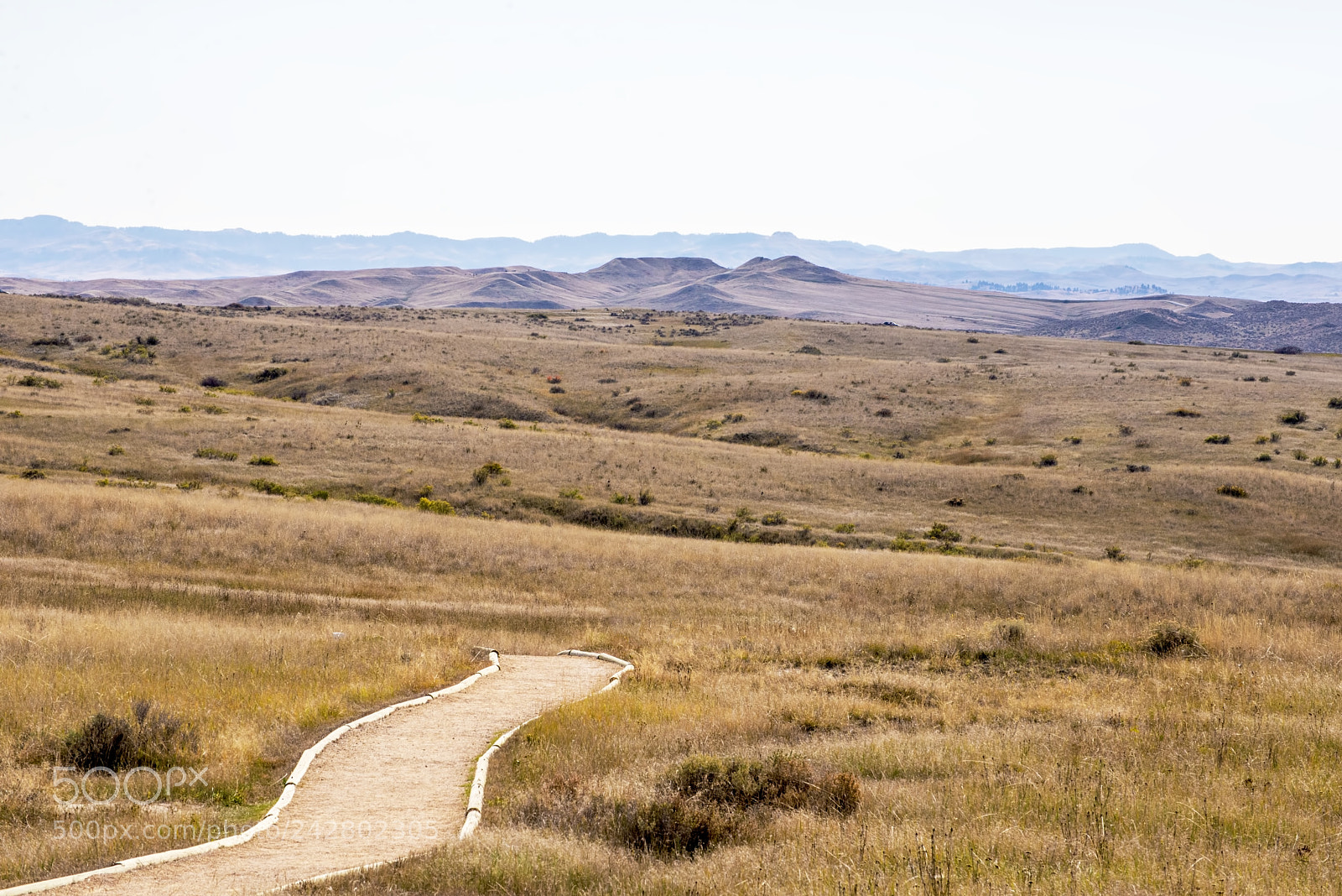 Nikon D600 sample photo. Long winding path (1) photography