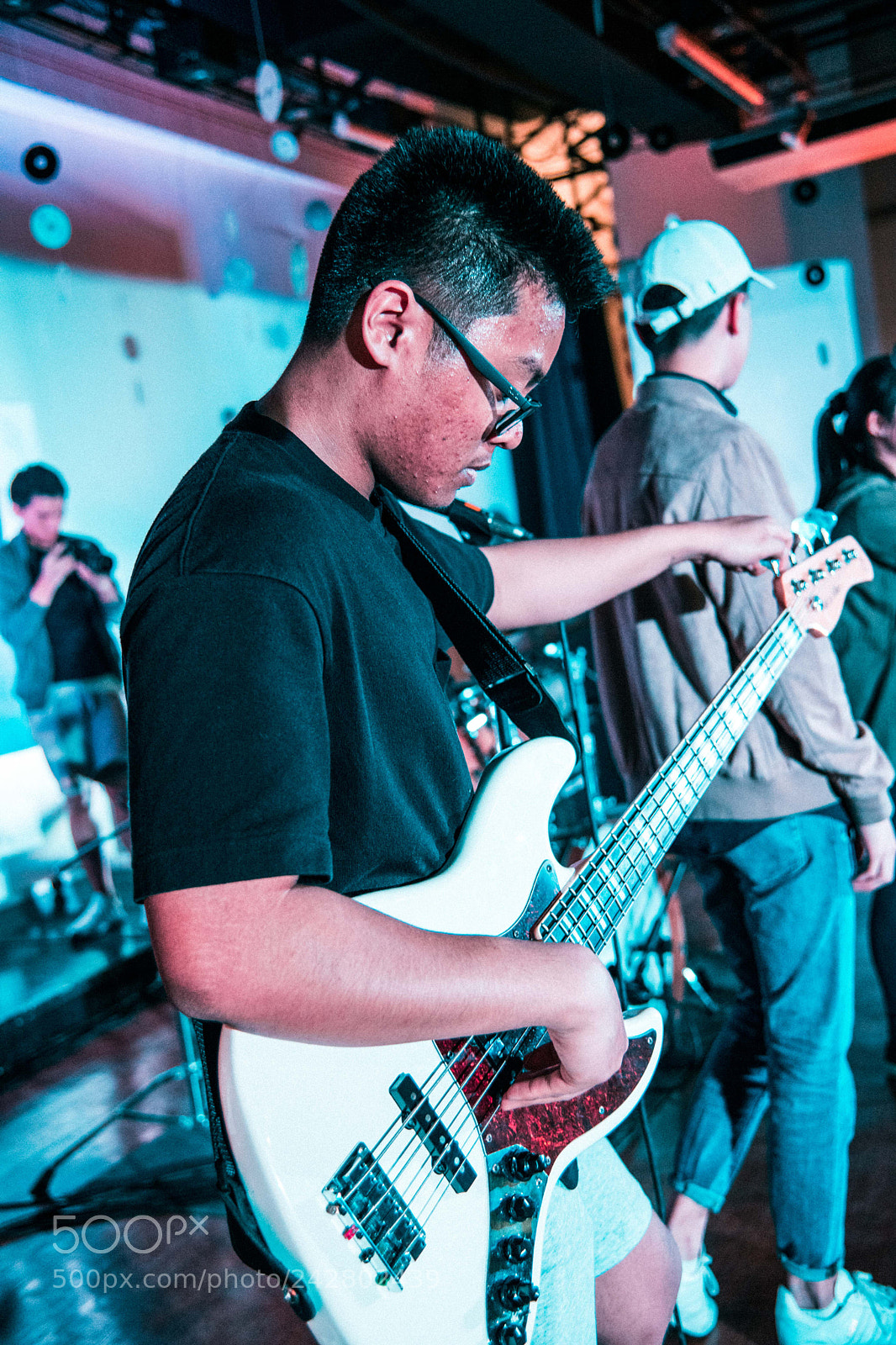 Nikon D850 sample photo. Pugfish photography