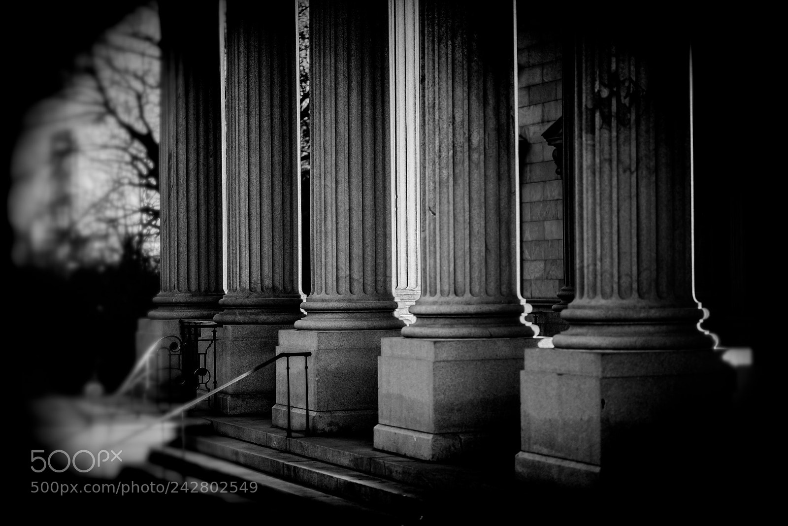 Nikon D600 sample photo. Sunlight on state house photography
