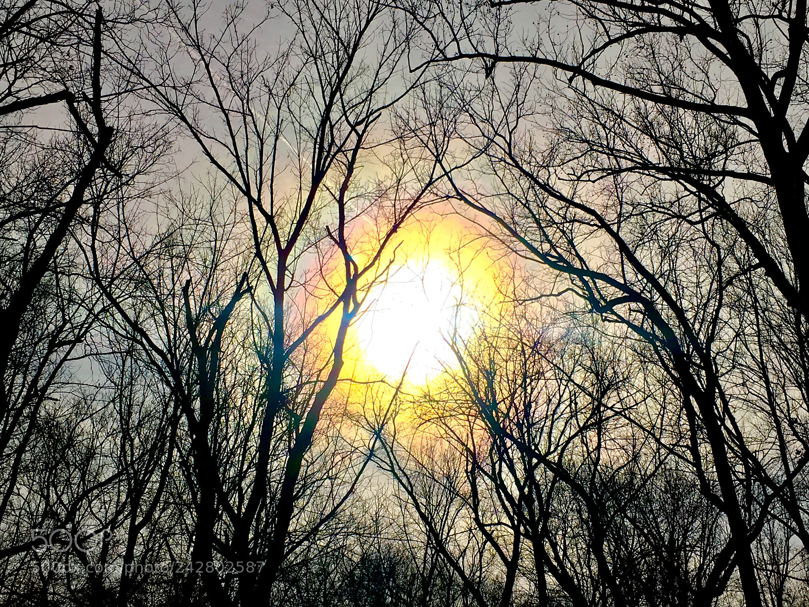 Apple iPhone 6s sample photo. Rainbow sun photography