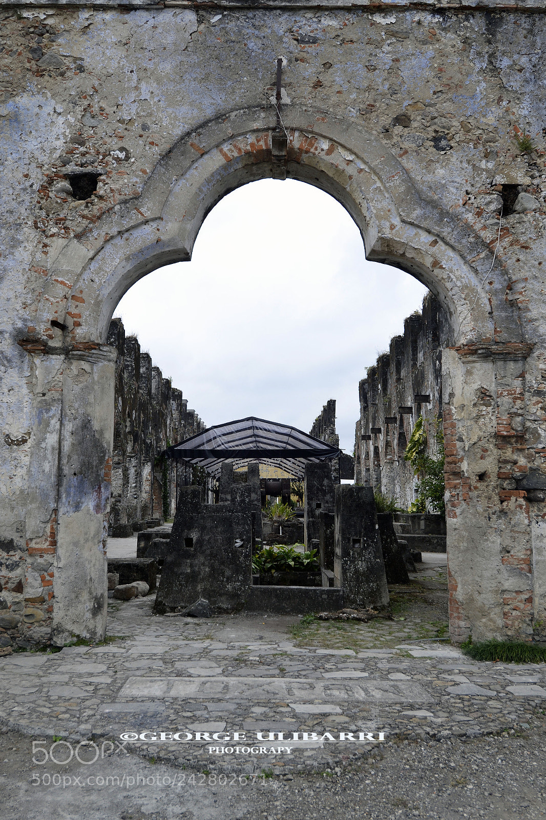 Nikon D3100 sample photo. Ex-hacienda de toxpan photography