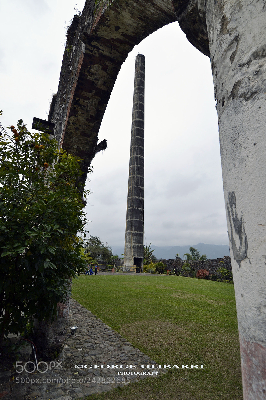 Nikon D3100 sample photo. Ex-hacienda de toxpan photography
