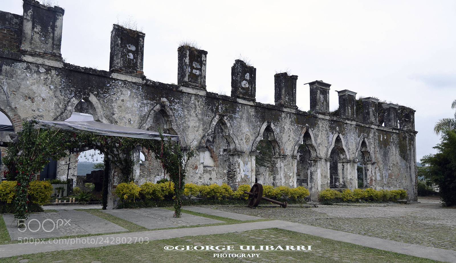 Nikon D3100 sample photo. Ex-hacienda de toxpan photography