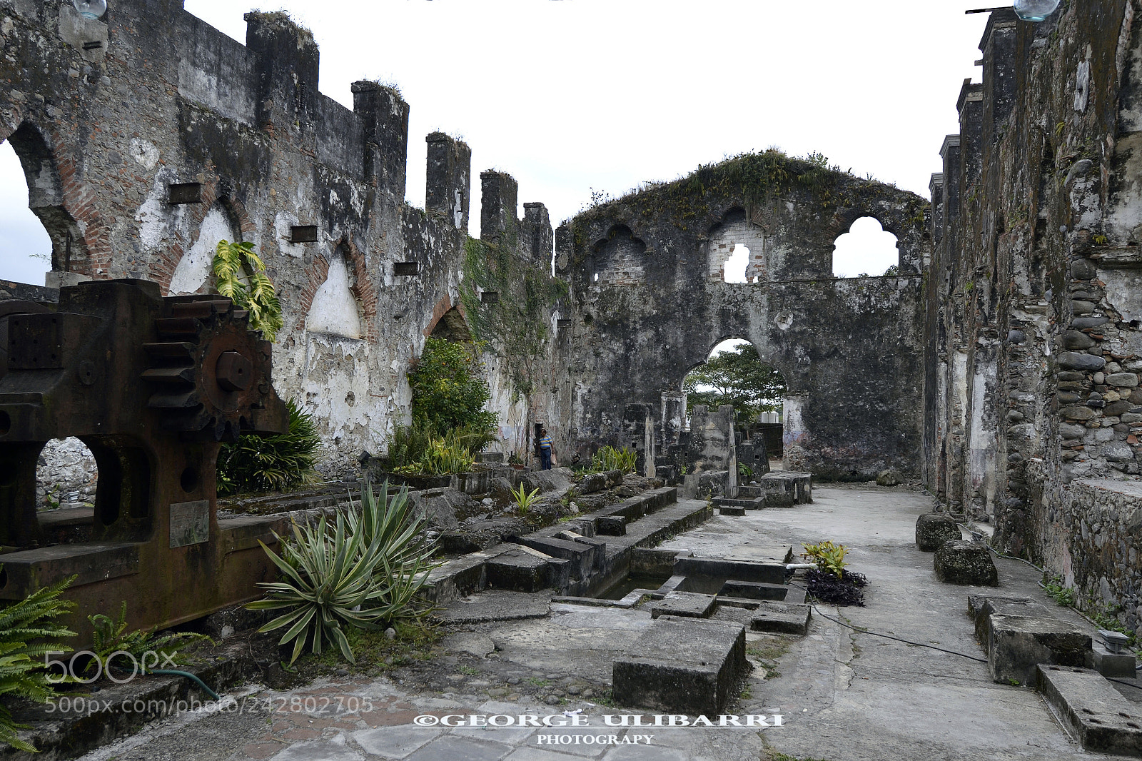 Nikon D3100 sample photo. Ex-hacienda de toxpan photography