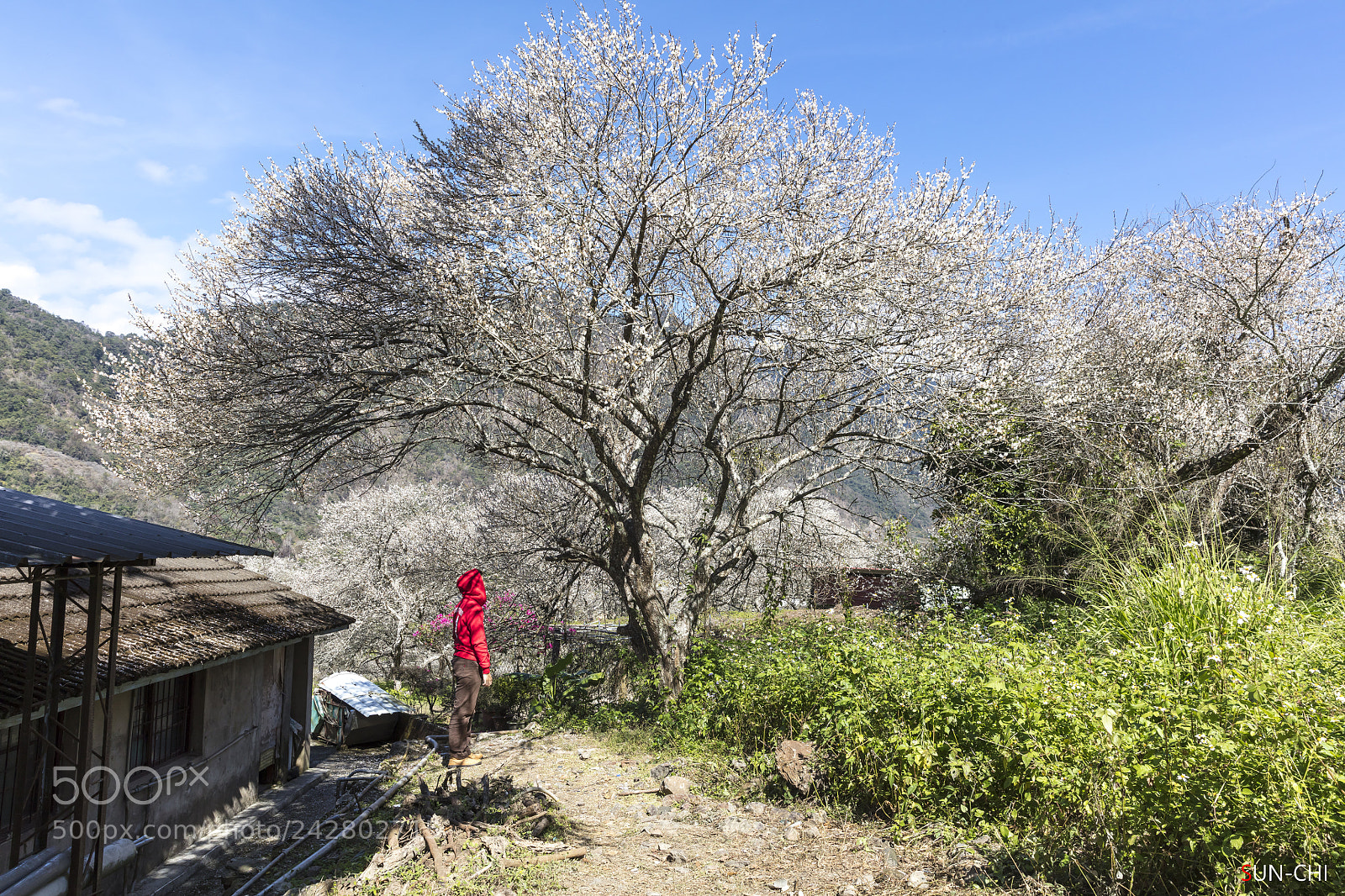 Canon EOS 5DS sample photo. 彷彿置身國外 photography