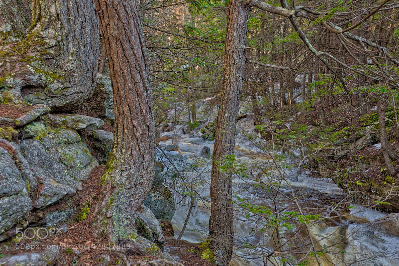 Nikon D7500 sample photo. Cold photography