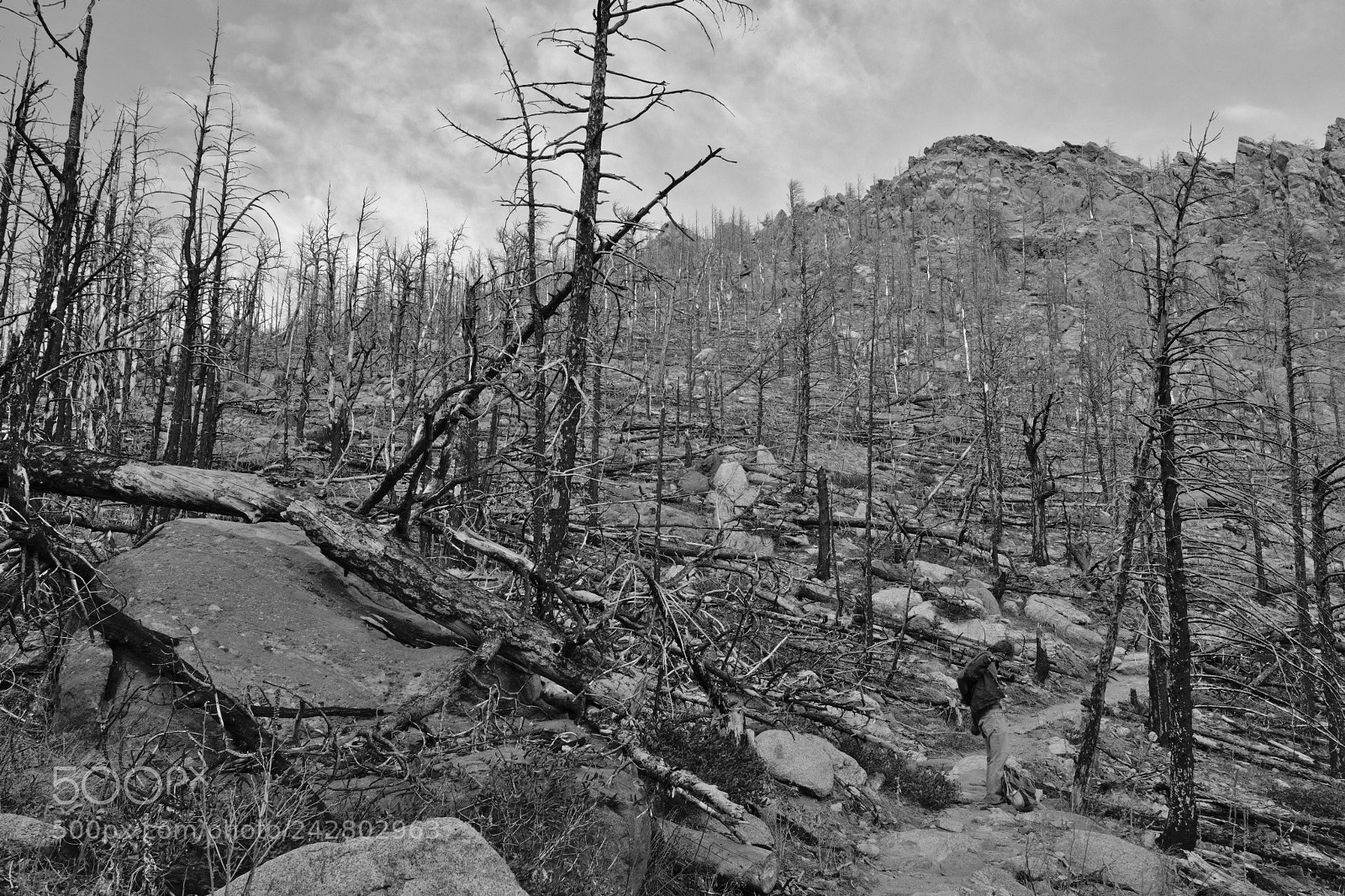 Fujifilm X-T2 sample photo. Wild fires! photography