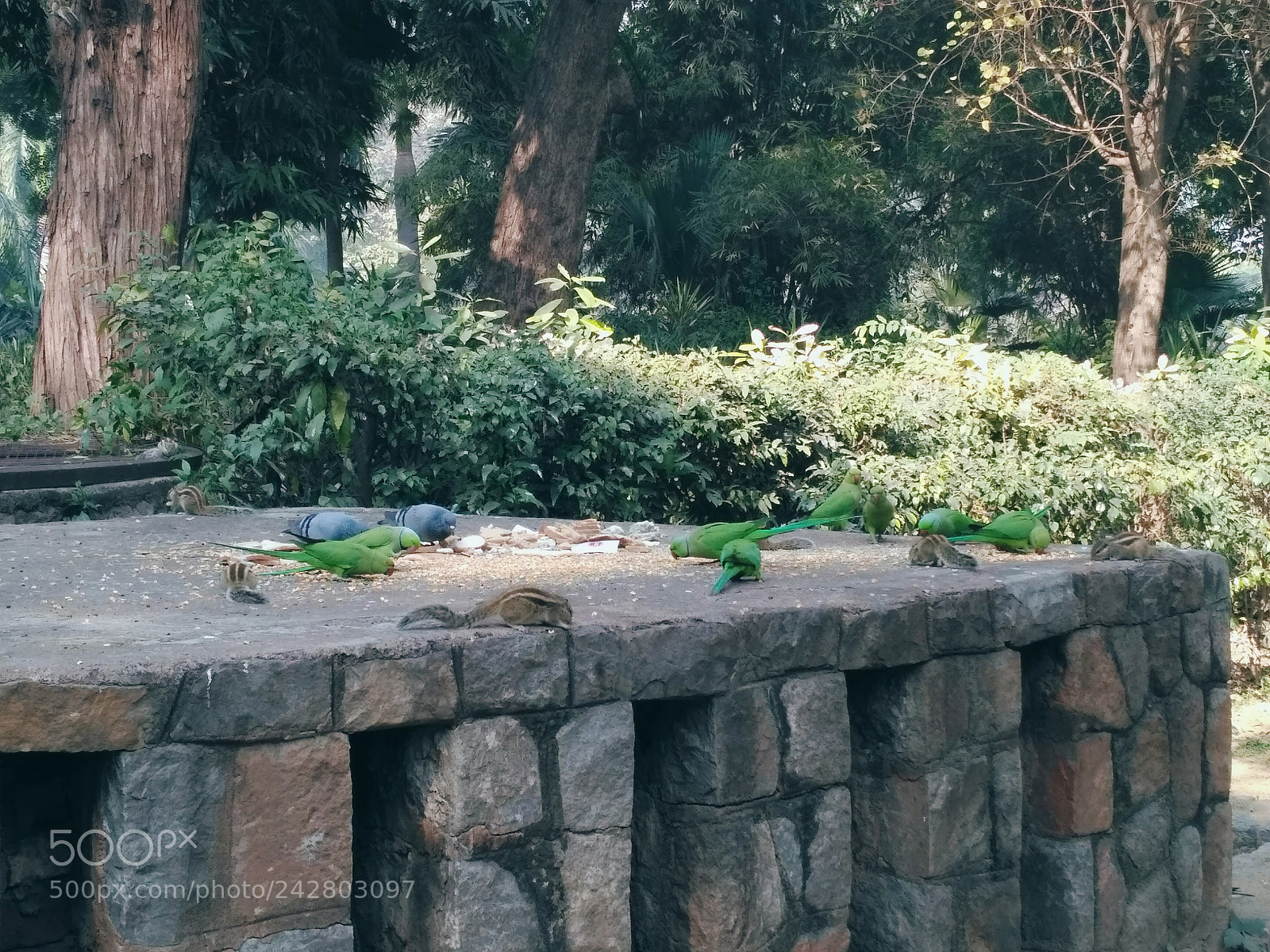 Xiaomi Redmi 3S sample photo. Untitled photography