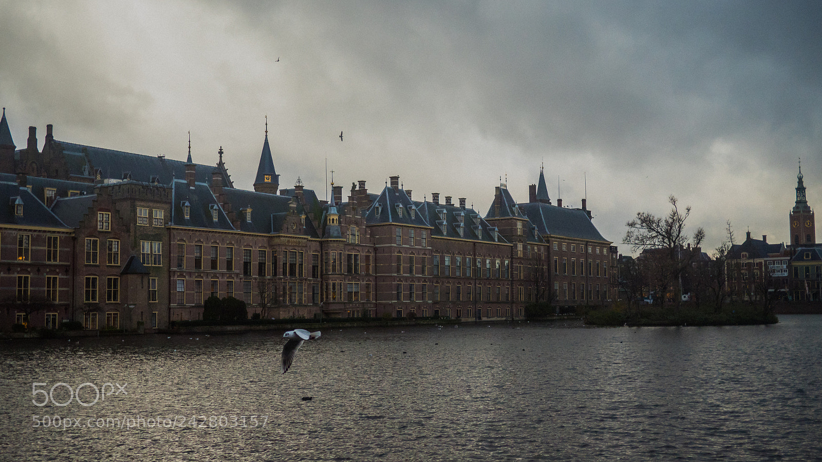 Panasonic Lumix DC-GH5 sample photo. The hague photography