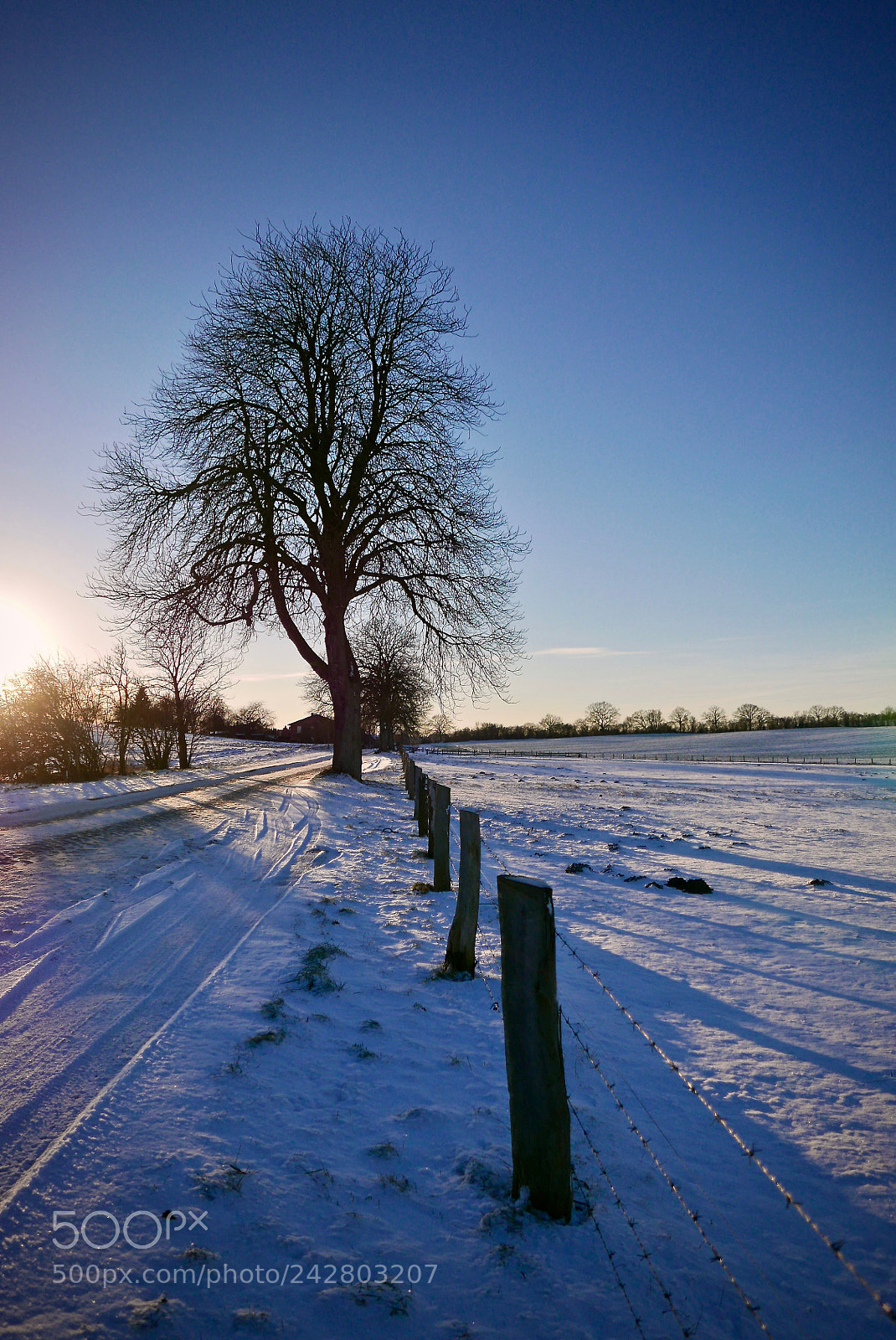 Leica D-Lux (Typ 109) sample photo. Waiting for spring photography