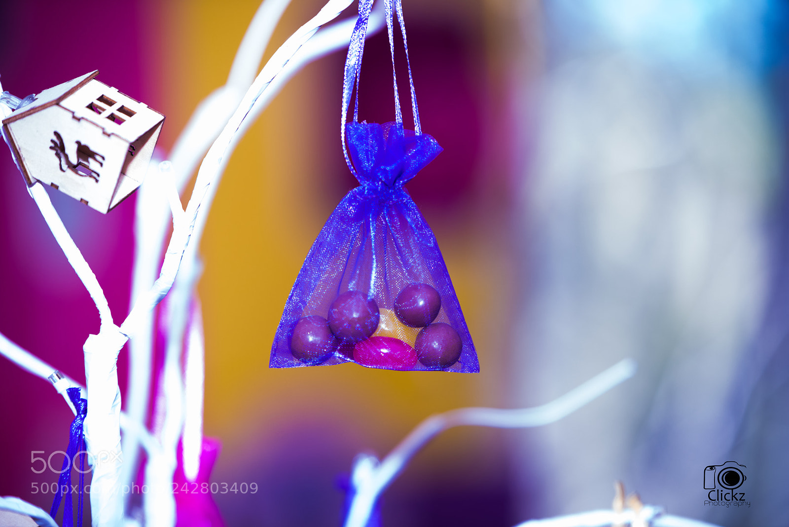 Nikon D810 sample photo. Ckz photography