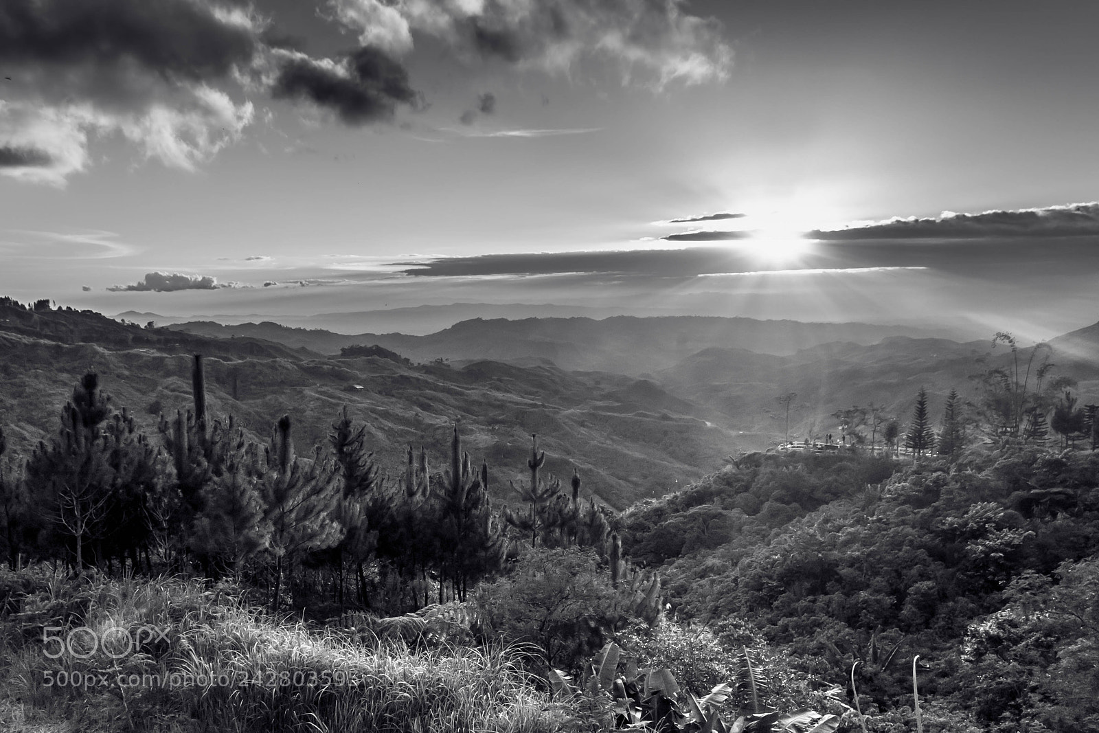 Nikon D3100 sample photo. Sunset - bw photography