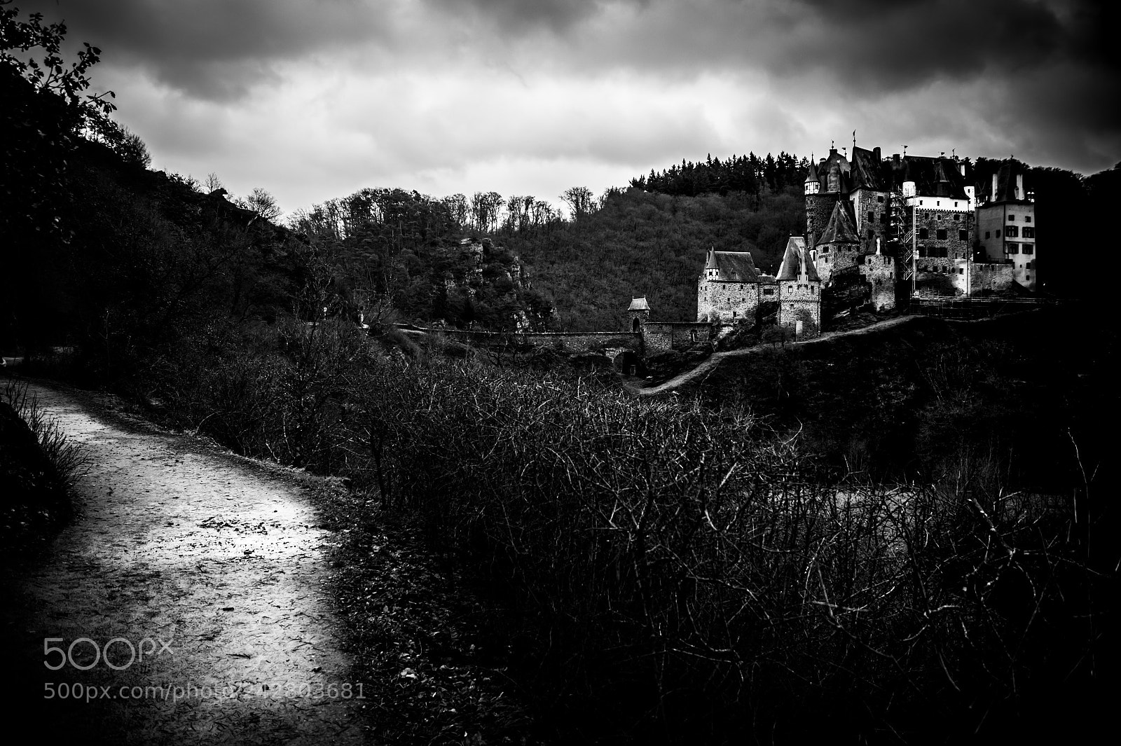 Sony SLT-A58 sample photo. Eltz photography