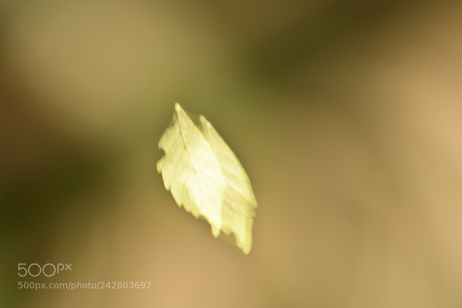 Nikon D7100 sample photo. Untitled photography