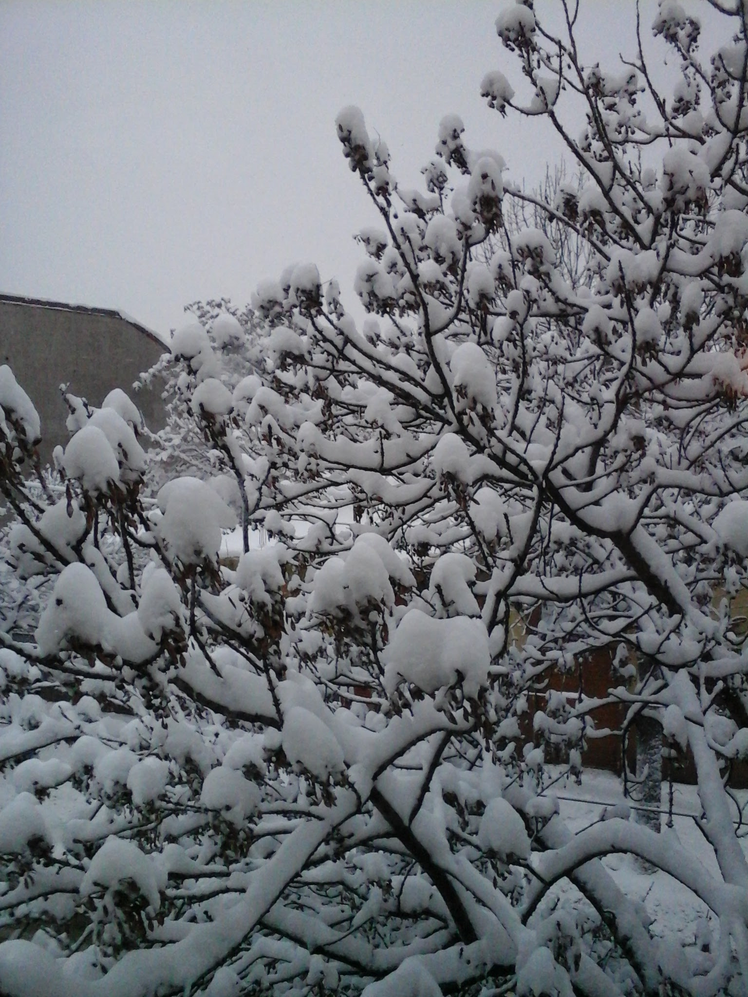 Samsung GT-S7390 sample photo
