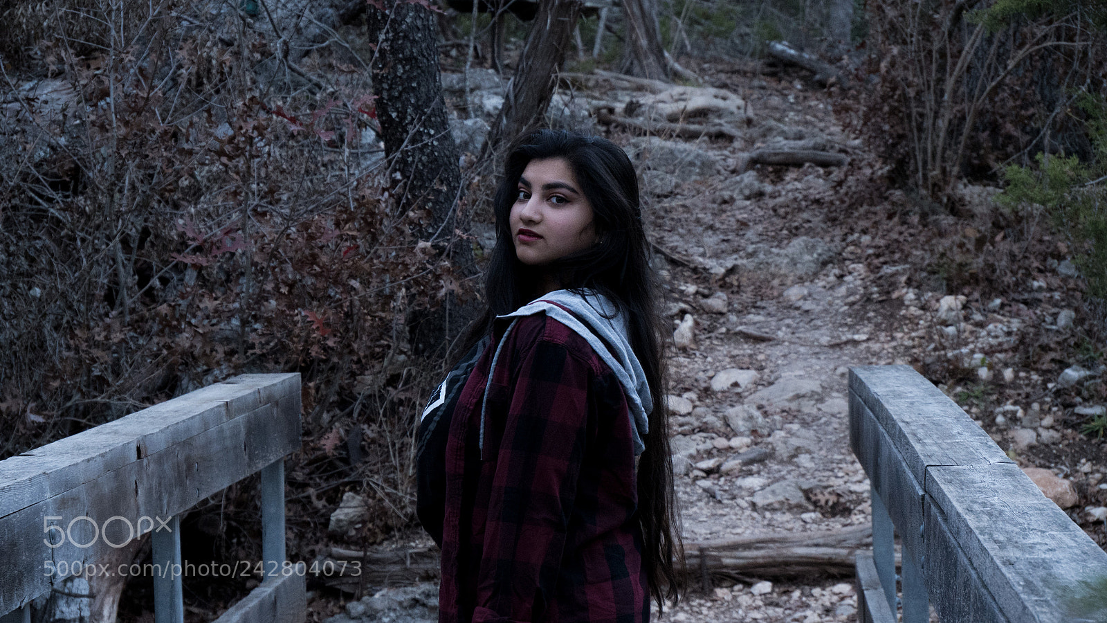 Panasonic Lumix DMC-G85 (Lumix DMC-G80) sample photo. Lost in the woods photography