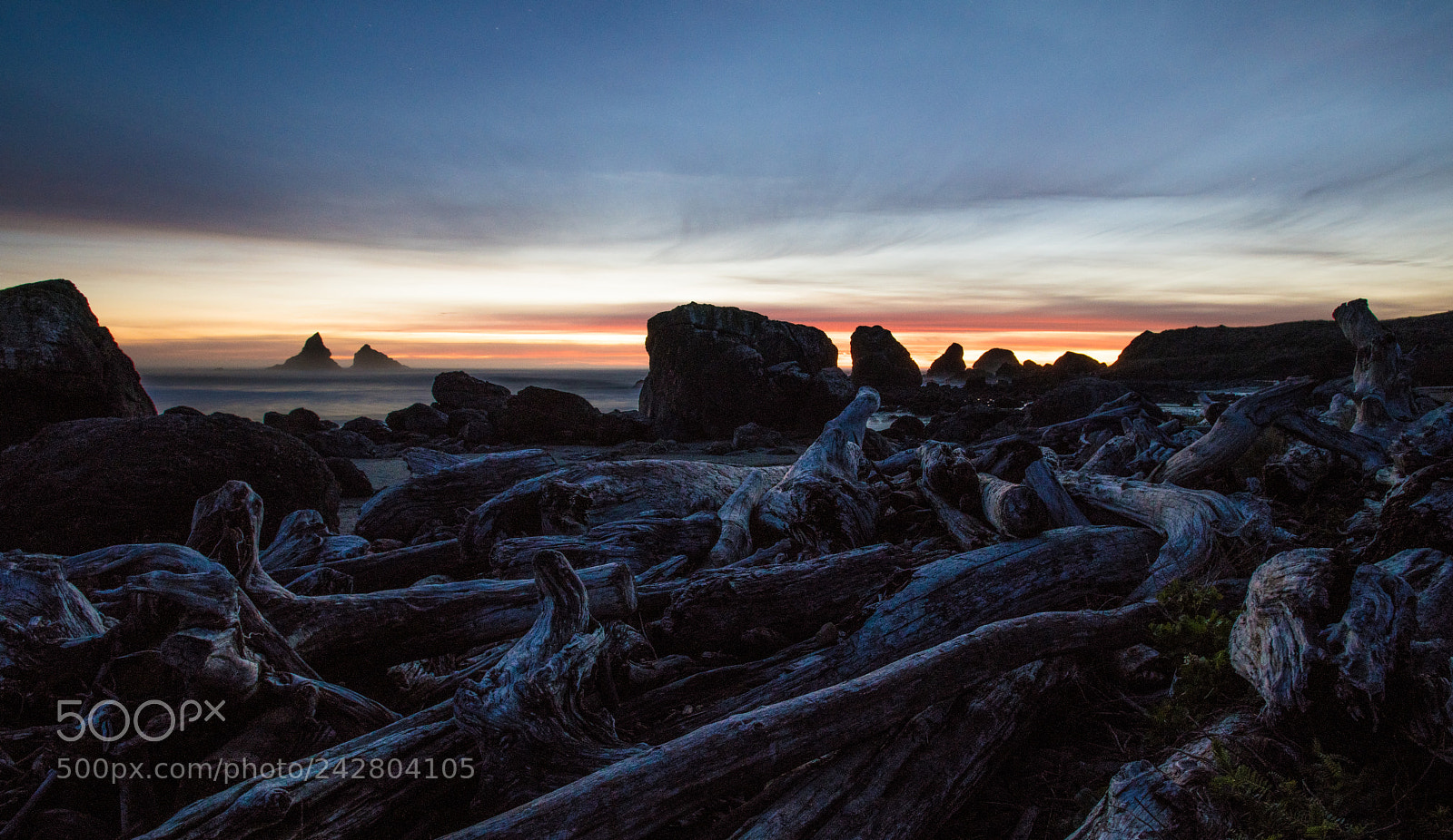 Nikon D850 sample photo. Lone ranch beach photography