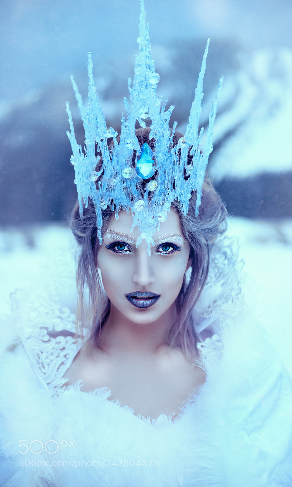 Nikon D810 sample photo. The snow queen photography