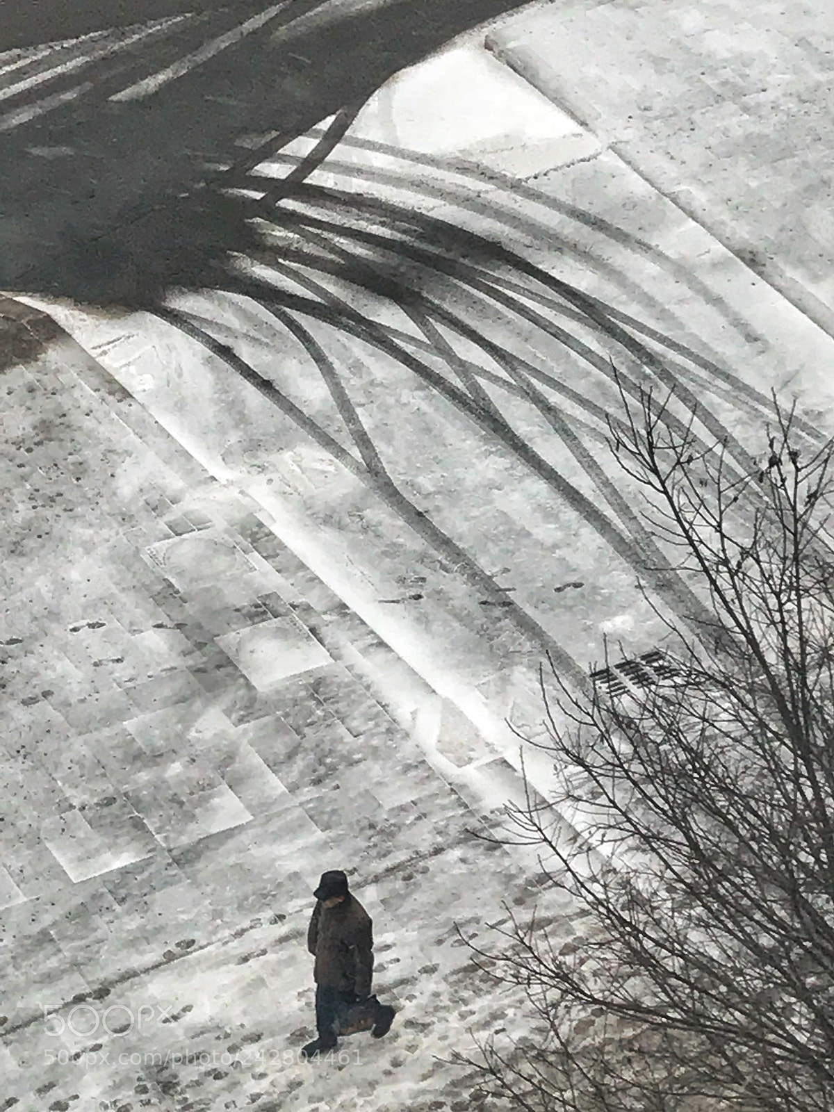Apple iPhone 7 sample photo. Snowy morning. photography