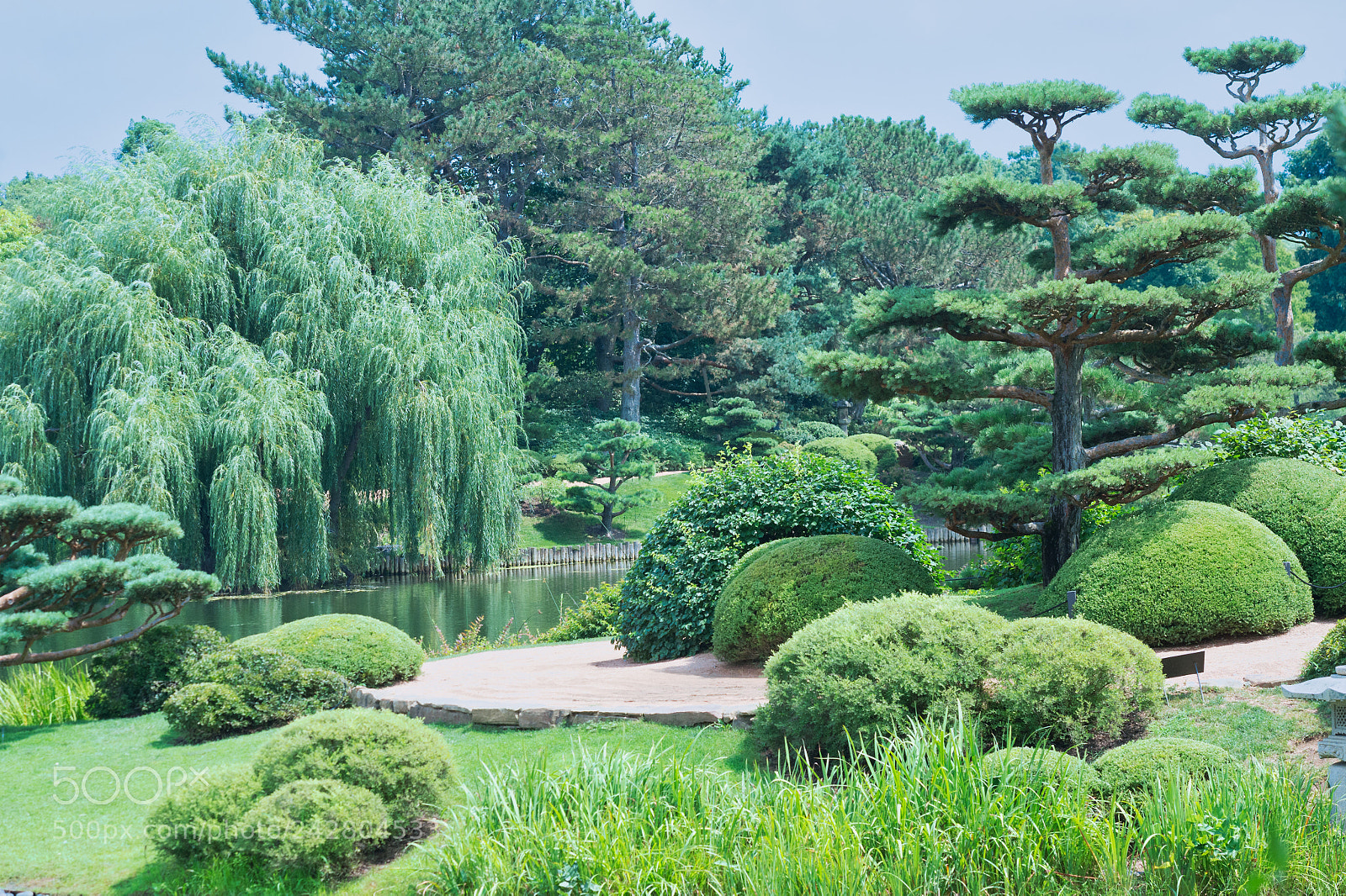 Nikon D4 sample photo. Zen photography