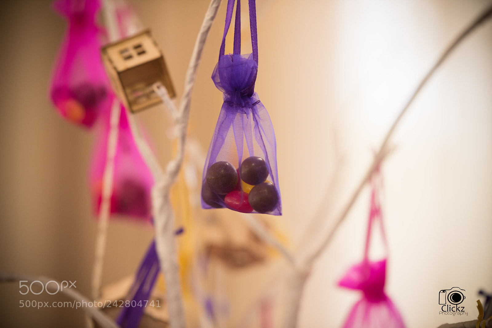 Nikon D810 sample photo. Ckz photography