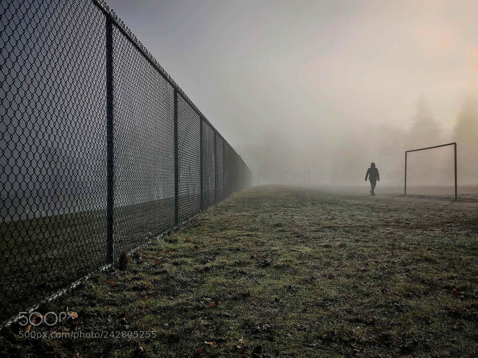 Apple iPhone 7 Plus sample photo. The fog photography