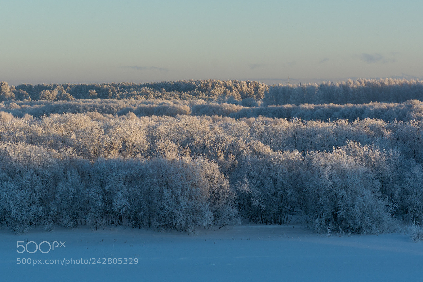 Nikon D7100 sample photo. Winter day photography