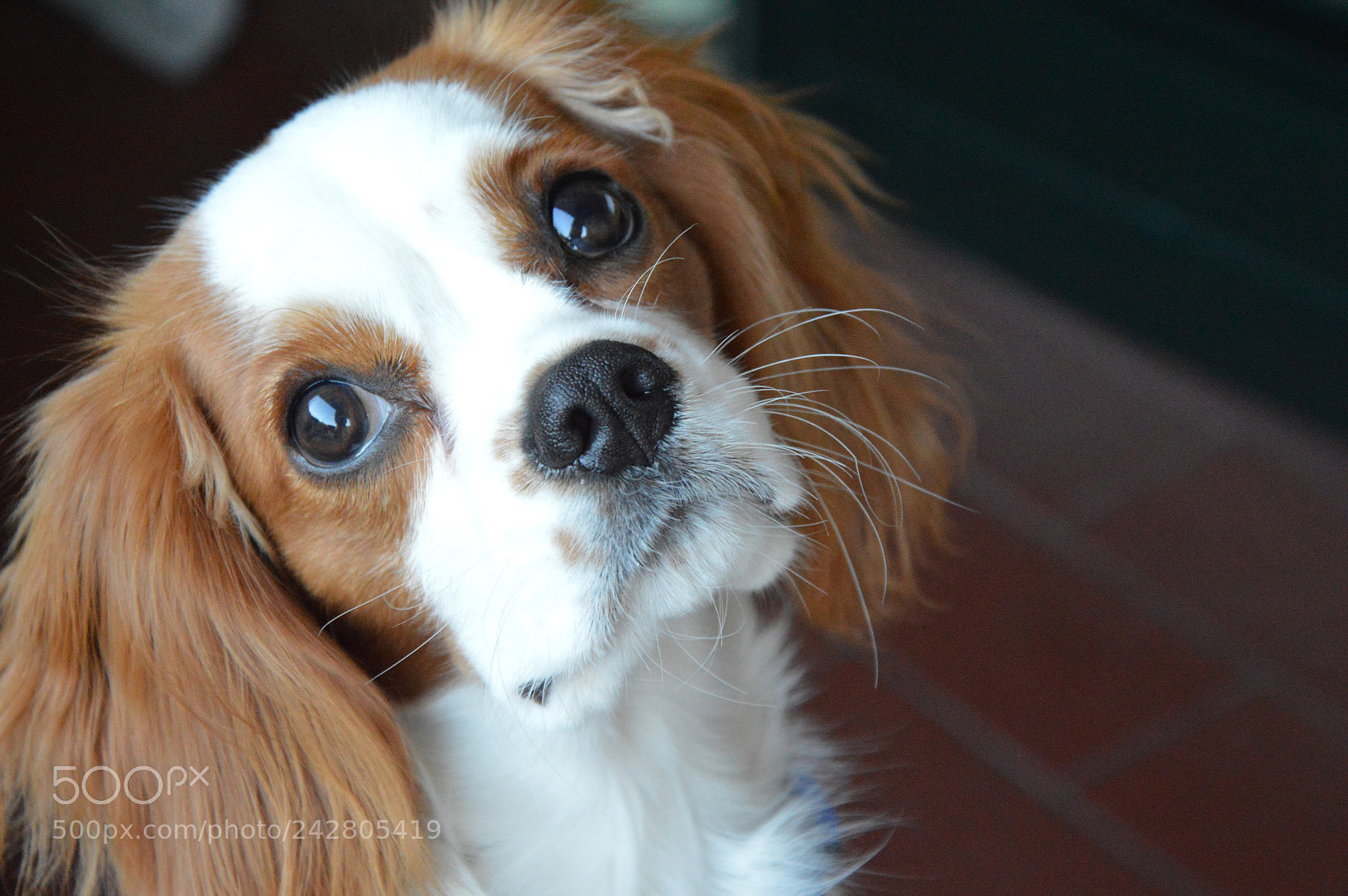 Nikon D3200 sample photo. Untitled photography