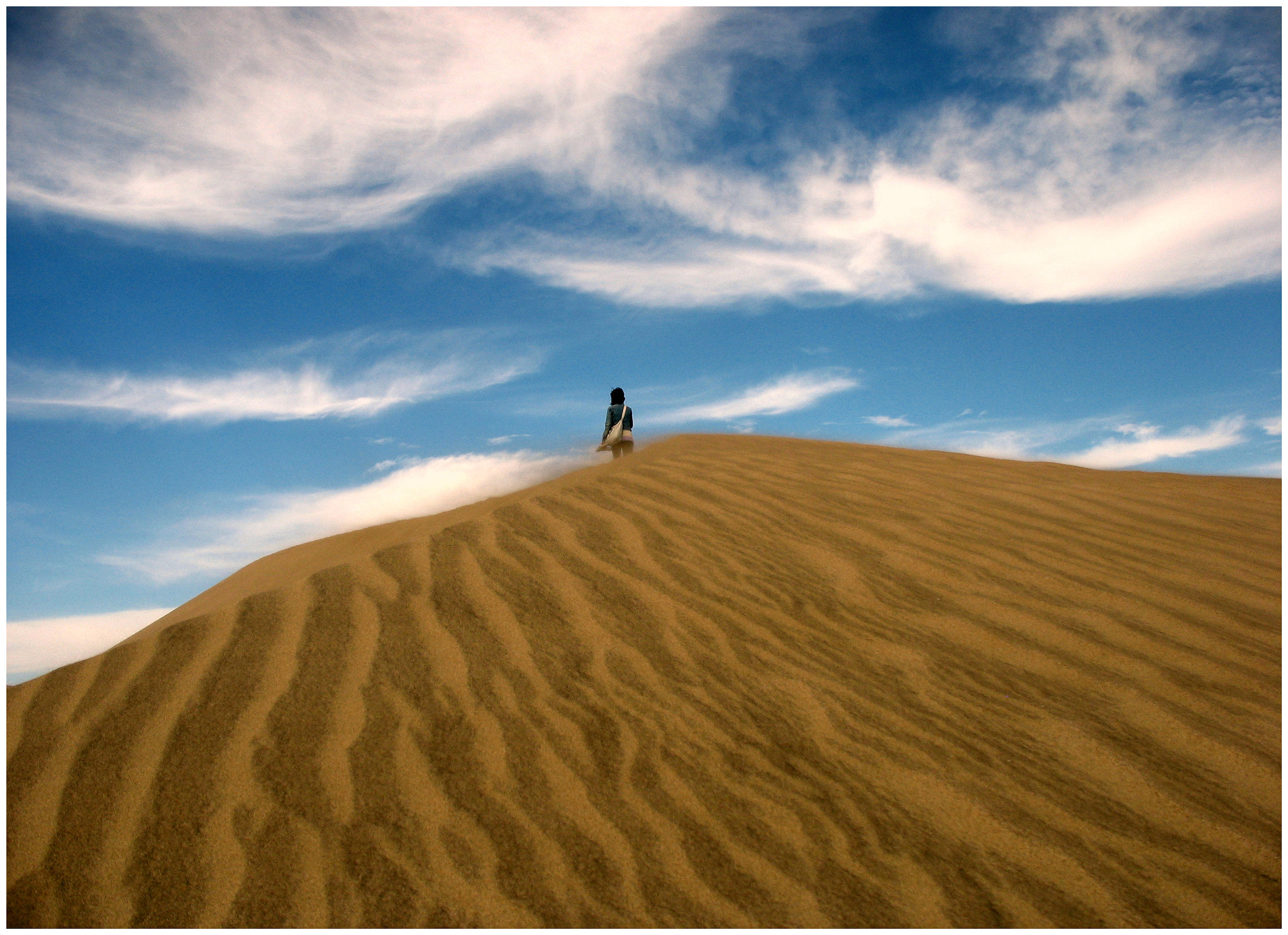 Canon POWERSHOT A610 sample photo. Loneliness of the desert photography