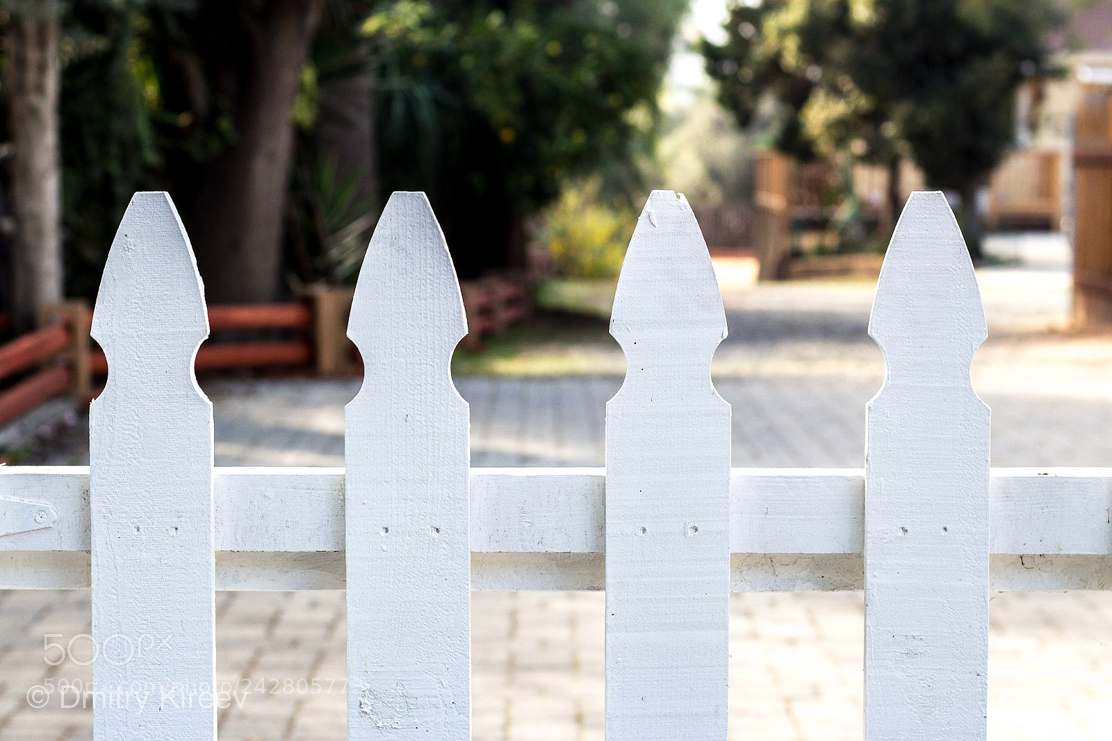 Canon EOS 100D (EOS Rebel SL1 / EOS Kiss X7) sample photo. Beyond the fence photography
