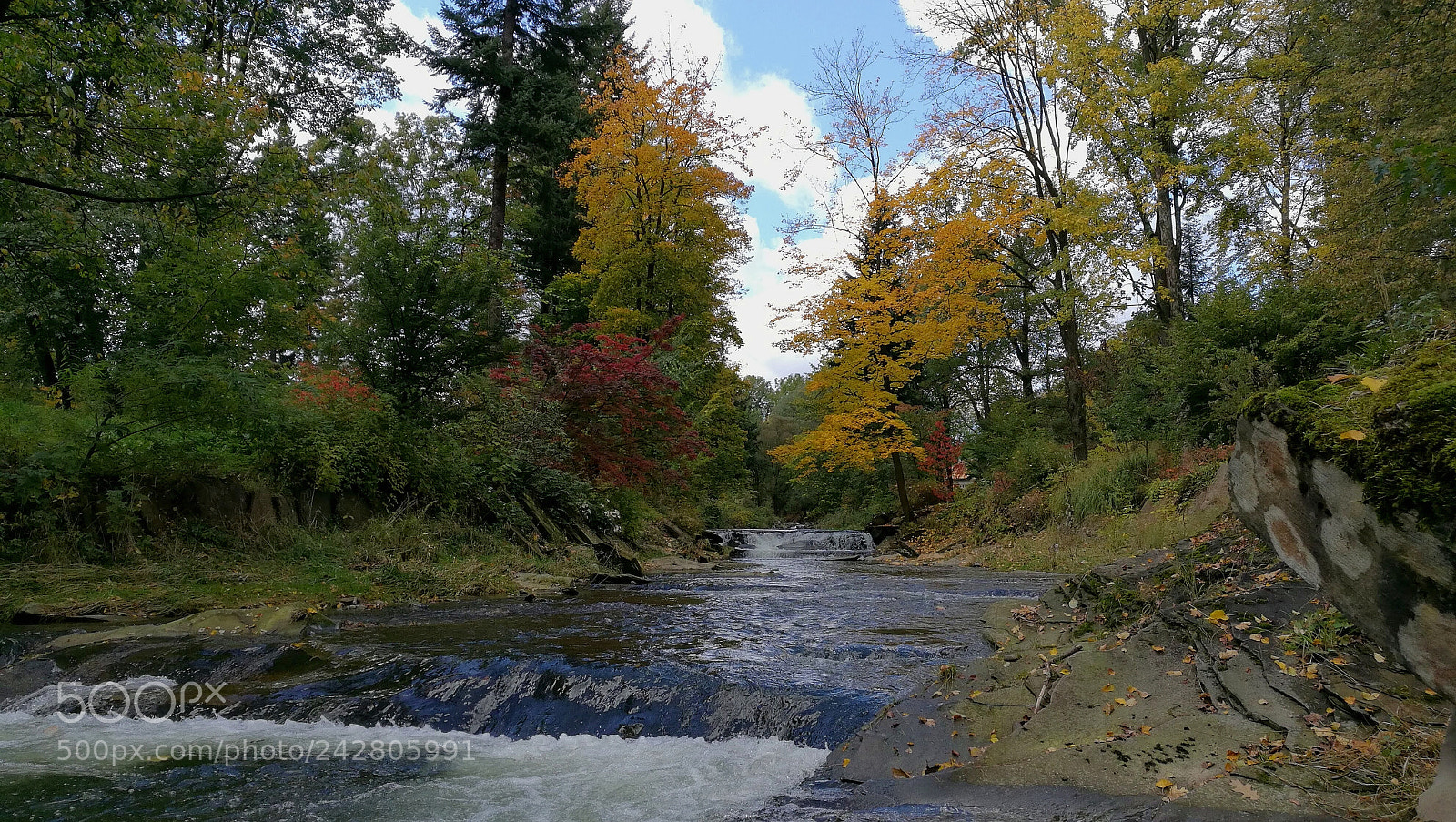 HUAWEI Honor 8 sample photo. The fall photography